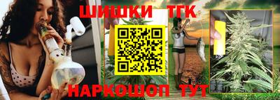 крисы Малгобек