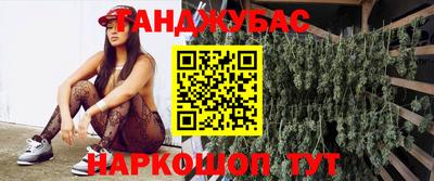крисы Малгобек