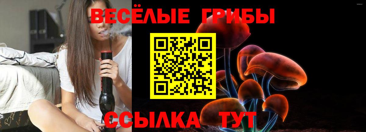 Галлюциногенные грибы MAGIC MUSHROOMS Грозный