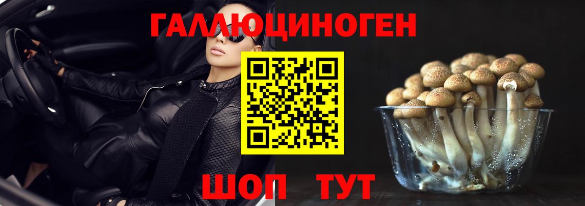 Псилоцибиновые грибы MAGIC MUSHROOMS  Псилоцибиновые грибы Psilocybe  Грозный  Вход с VPN 